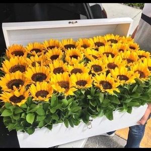 Meet your Posher, Kaeley